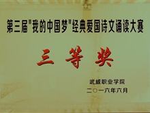 ”我的中國(guó)“夢(mèng)經(jīng)典愛(ài)國(guó)詩(shī)文誦讀大賽三等獎(jiǎng)